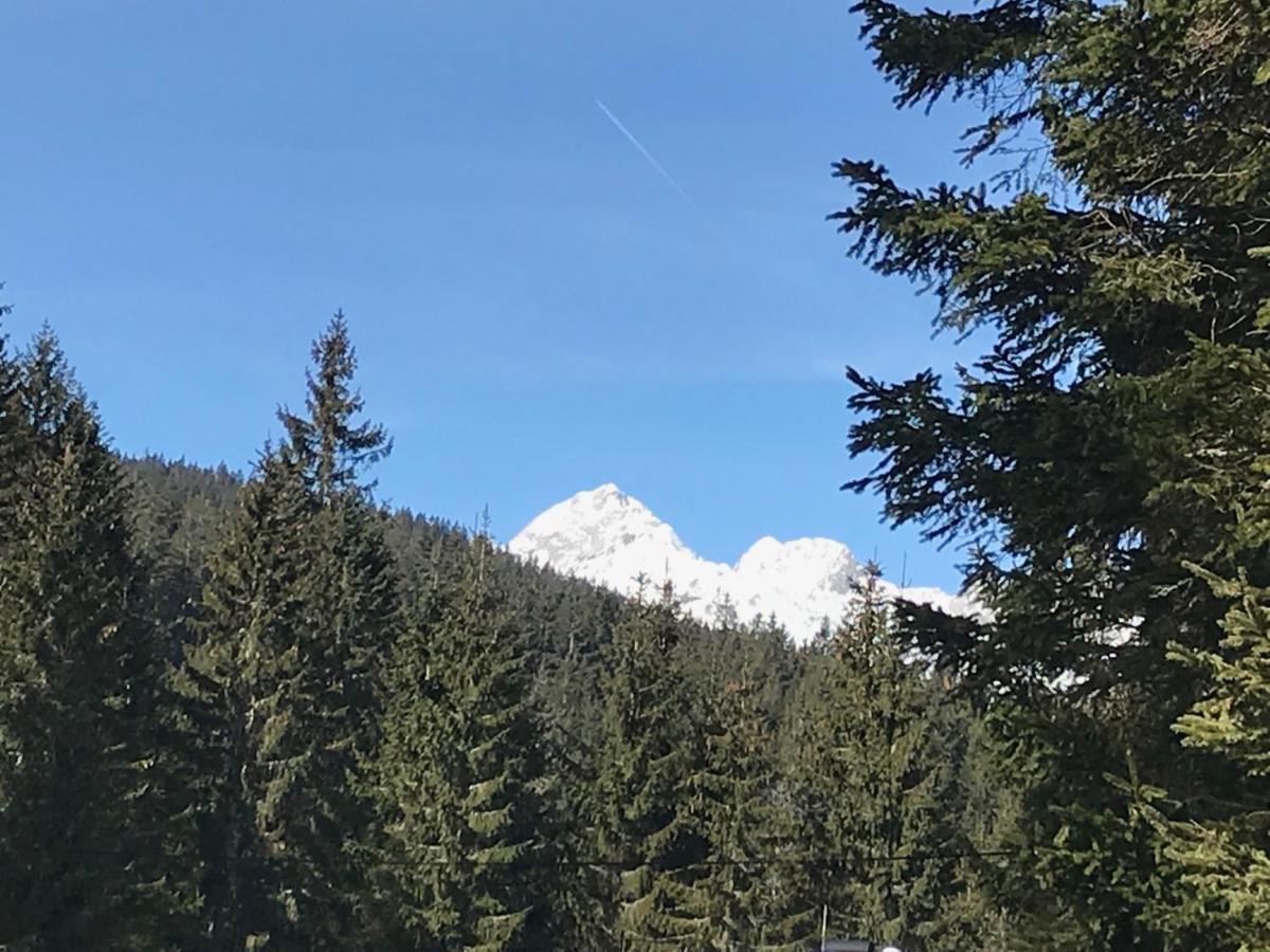 Zgornje Gorje Chalet Stara Jelka Pokljuka מראה חיצוני תמונה