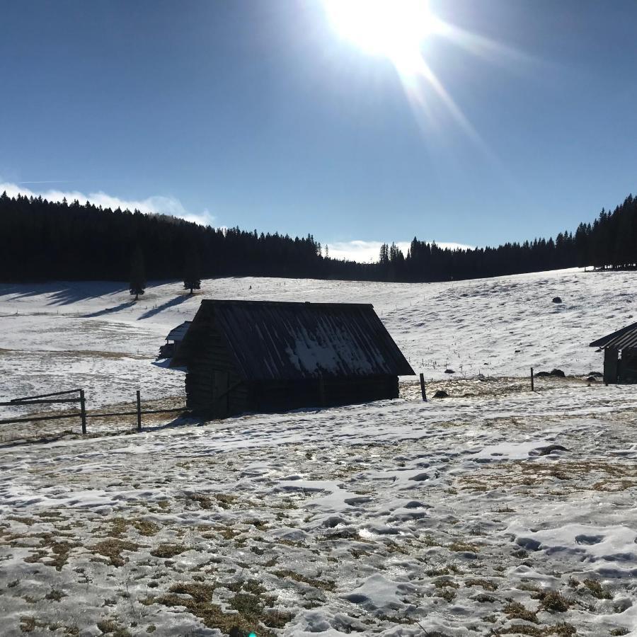 Zgornje Gorje Chalet Stara Jelka Pokljuka מראה חיצוני תמונה