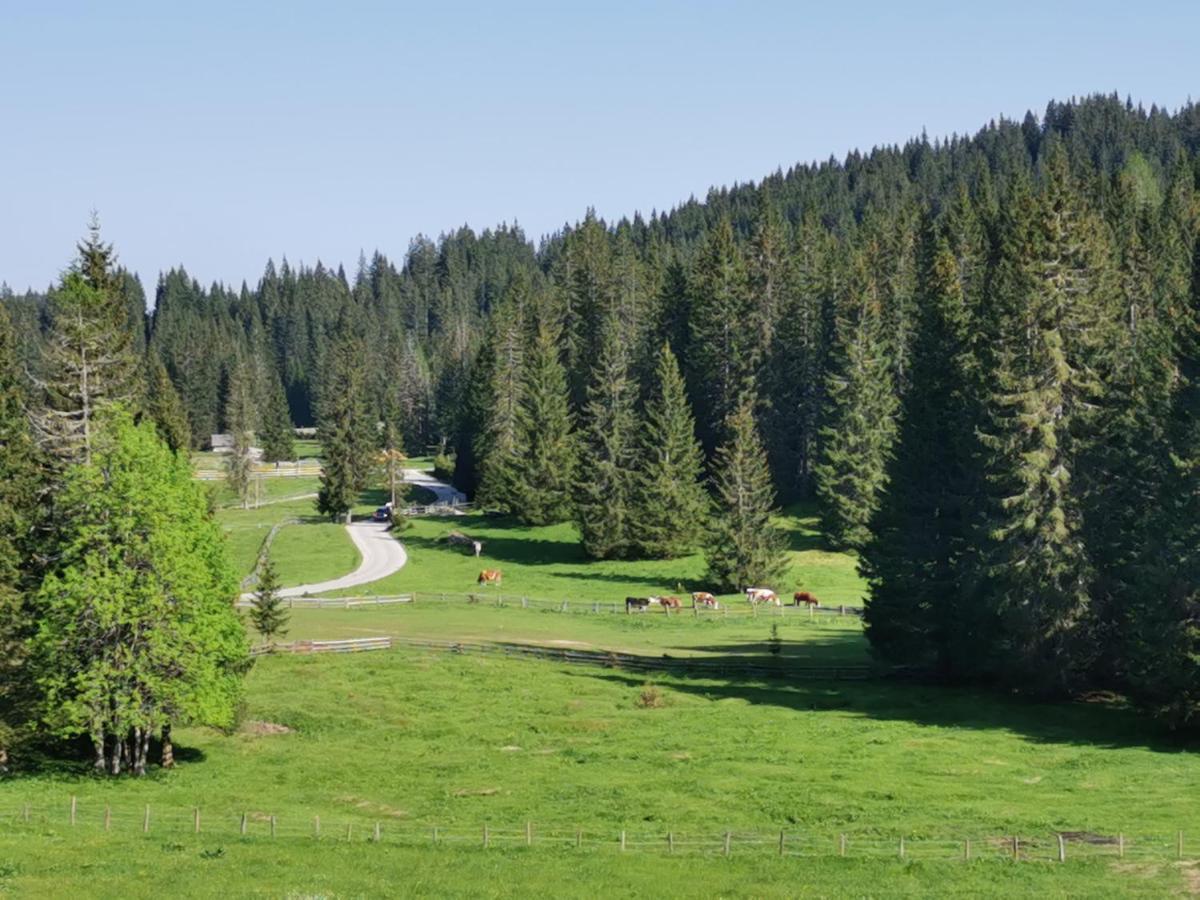 Zgornje Gorje Chalet Stara Jelka Pokljuka מראה חיצוני תמונה