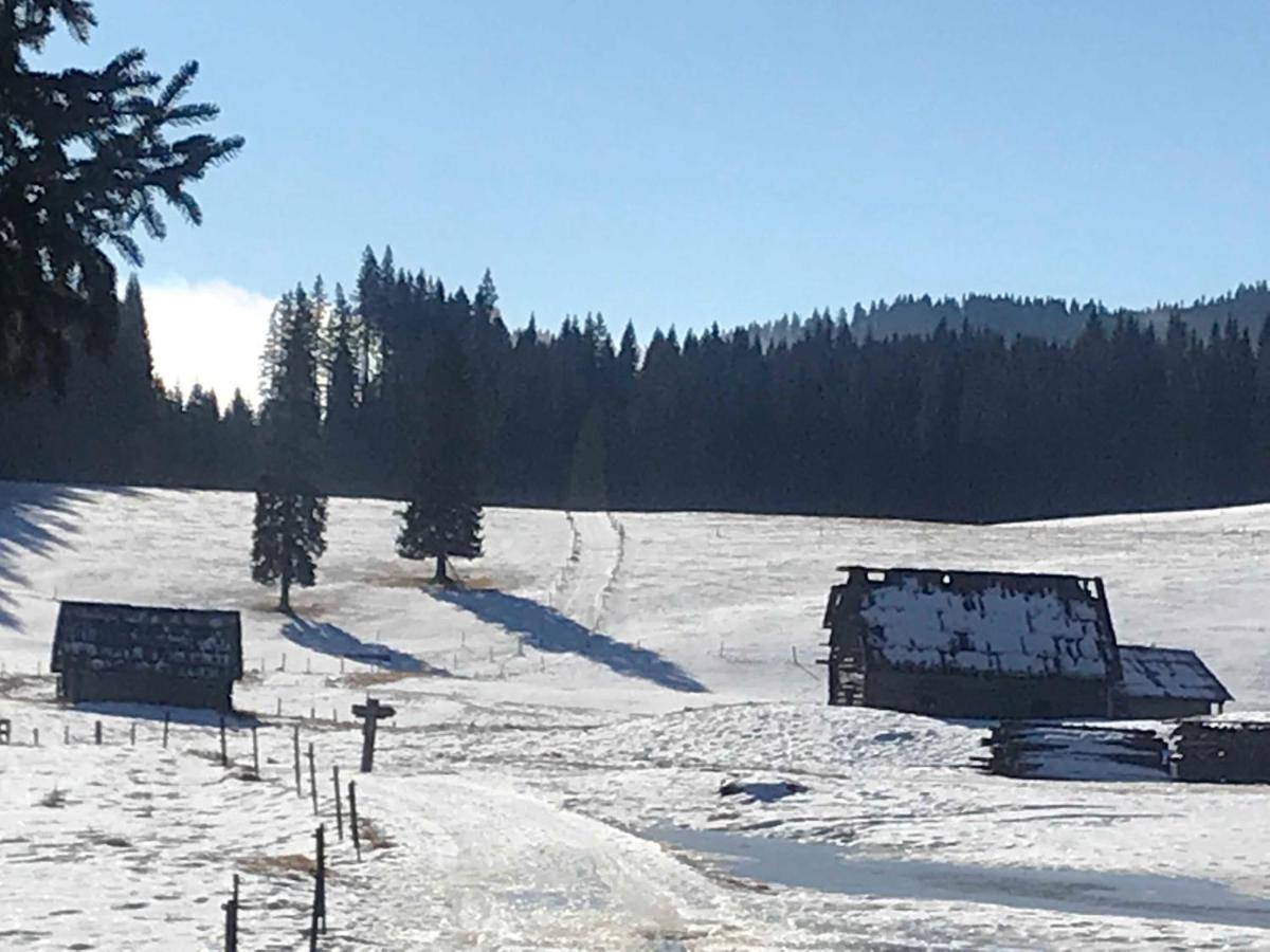Zgornje Gorje Chalet Stara Jelka Pokljuka מראה חיצוני תמונה