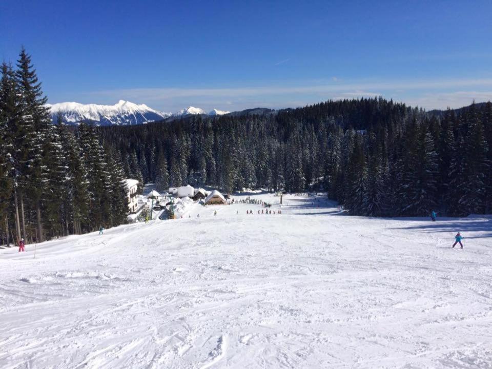 Zgornje Gorje Chalet Stara Jelka Pokljuka מראה חיצוני תמונה