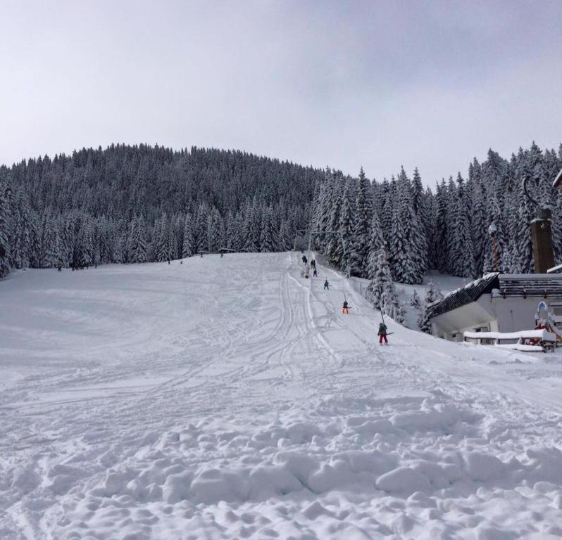 Zgornje Gorje Chalet Stara Jelka Pokljuka מראה חיצוני תמונה