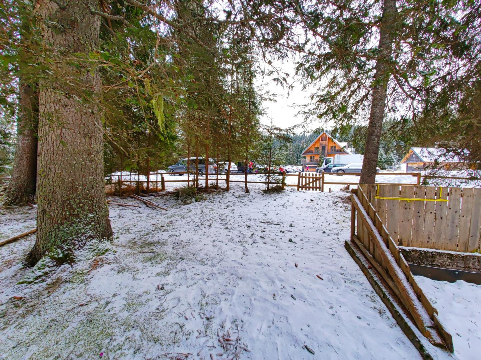 Zgornje Gorje Chalet Stara Jelka Pokljuka מראה חיצוני תמונה