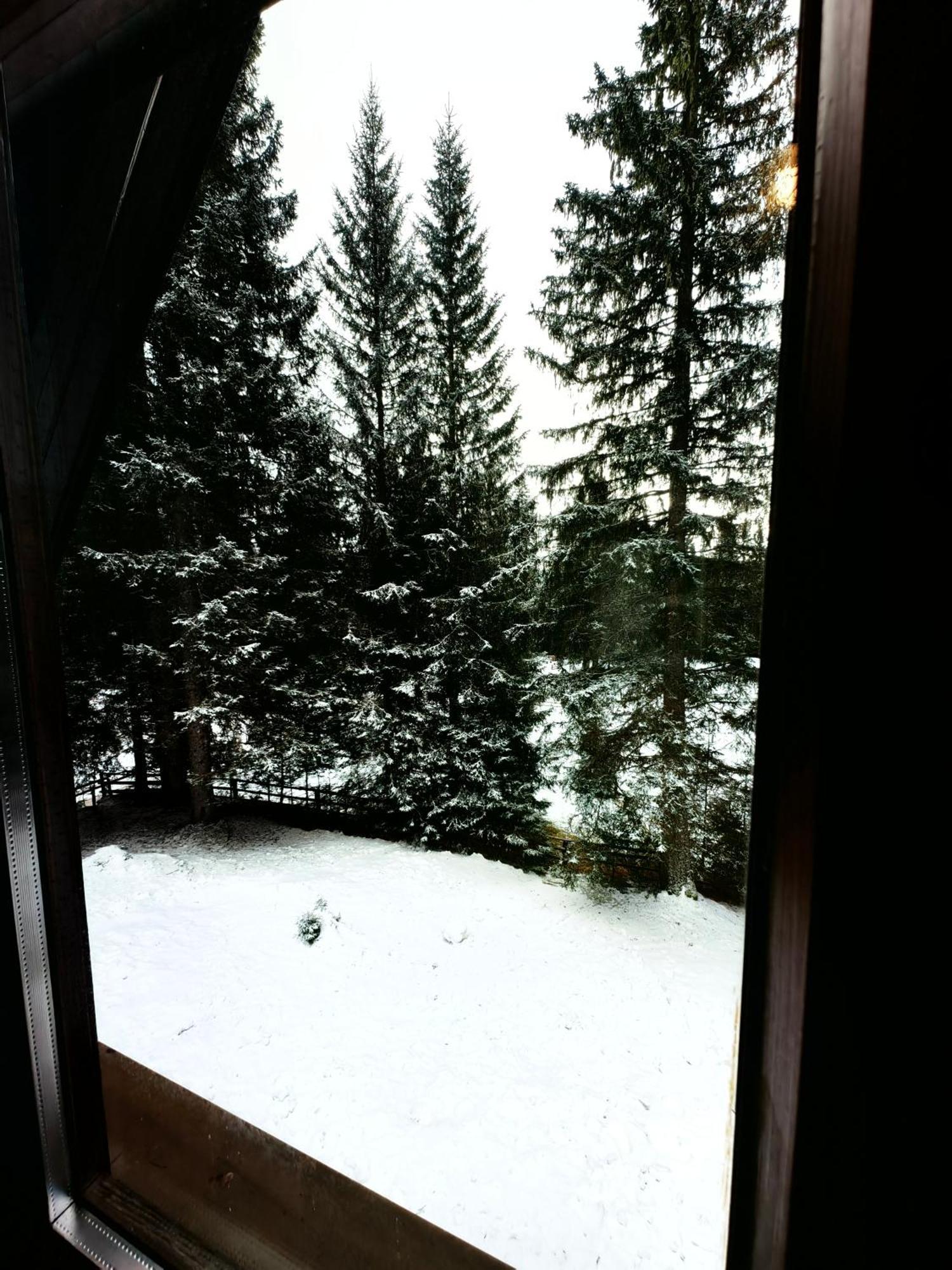 Zgornje Gorje Chalet Stara Jelka Pokljuka מראה חיצוני תמונה